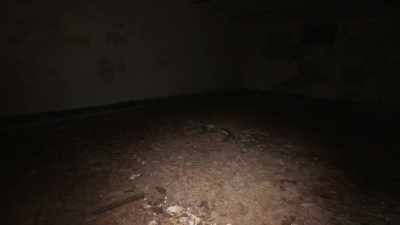 [narrator] In a remarkable
act of bravery, - Mysteries of the Abandoned