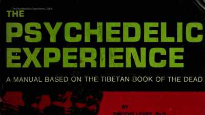 [narrator] In The Psychedelic Experience, - The Mind, Explained