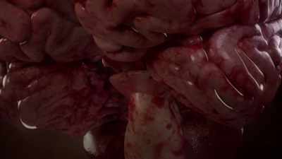 [narrator] Inside the brain, - Human: The World Within