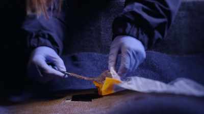 NARRATOR: Investigators
send samples of the carpet - Casey Anthony: An American Murder Mystery