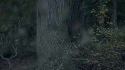 Narrator: IT DOESN'T APPEAR THAT
THIS WAS A PREMEDITATED MURDER, - The Golden State Killer: It's Not Over