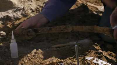 Narrator: IT'S EXTREMELY RARE
TO FIND A LONG, THIN BONE - Dino Hunters