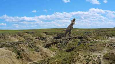 Narrator: IT'S THE SAME DEPOSIT
THAT PRODUCED COWBOY REX, - Dino Hunters