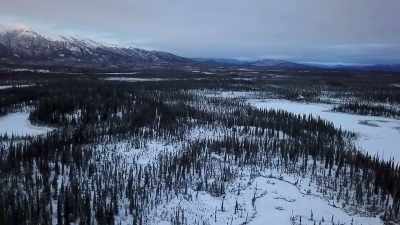 NARRATOR: Johnny Rolfe
must constantly scout the - Life Below Zero: Next Generation