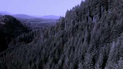 [narrator]  Last year,
 in Washington, - Expedition Bigfoot