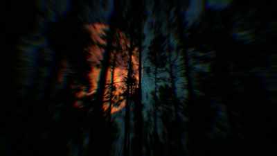 [narrator] Later, during
another hypnosis session, - Alien Abduction: Betty and Barney Hill