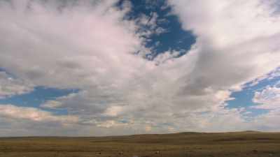 Narrator: Less than
a century later, in 1887, - The American Buffalo