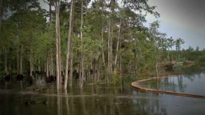 narrator-local-environmental-agents-study-the-swamp - Strange Evidence