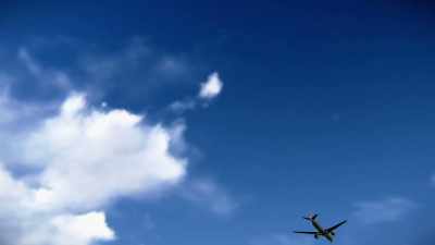 Narrator:
McCANN AND HIS PARTNER
FLY OUT WEST. - Chandra Levy: An American Murder Mystery