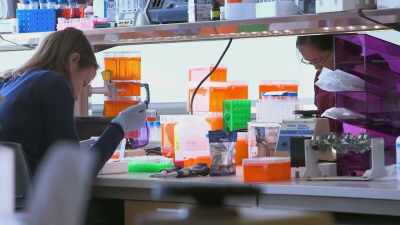 Narrator: Medical experts
are still investigating - The Vaccine: Conquering COVID