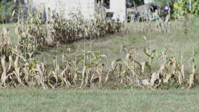 Narrator: Michigan detectives
looking for missing 15-year-old - Buried In The Backyard