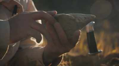 Narrator: NOSE HORNS LIKE THIS
ARE ESPECIALLY VALUABLE - Dino Hunters