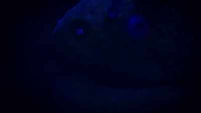 narrator-october-14-2014 - Strange Evidence