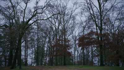 NARRATOR:
Of the 7,000 burials, - Mysteries of Mental Illness