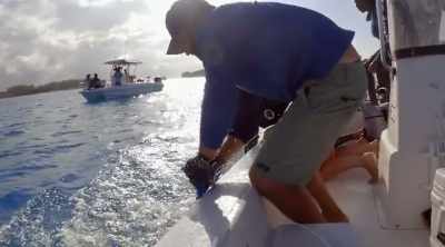 NARRATOR: On Bimini
Island in the Bahamas, - Shark Attack Files