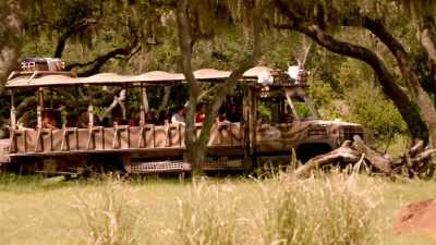 NARRATOR: Out on the savanna... - Magic of Disney's Animal Kingdom