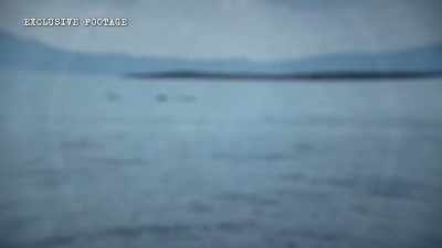 NARRATOR: Robbin's first thought
was a beluga whale. - The Alaska Triangle