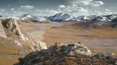 NARRATOR: Sanjiangyuan,
in northwest China, - Ghost of the Mountains