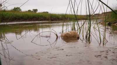 Narrator: SATURATED DIRT ROADS
AND SWOLLEN CREEKS - Dino Hunters