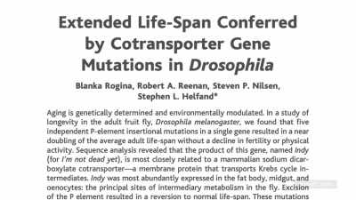 [narrator] Scientist mutated the same gene
in fruit flies - Explained