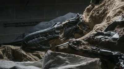 Narrator: SCIENTISTS THINK
THE CARNIVORE AND ITS VICTIM - Dino Hunters
