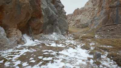 NARRATOR:
Snow leopards are mainly
solitary creatures. - Ghost of the Mountains