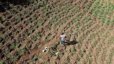 [narrator] So, how do we restore
a landscape that's been damaged? - Human: The World Within