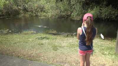 NARRATOR: So when you make
your way to the Everglades, - United States of Animals