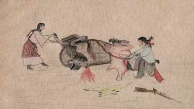 Narrator: Stripped of its hide,
each carcass provided - The American Buffalo