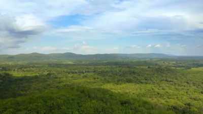 Narrator:
THE AMAZON RAIN FOREST, - Lost Cities of the Amazon