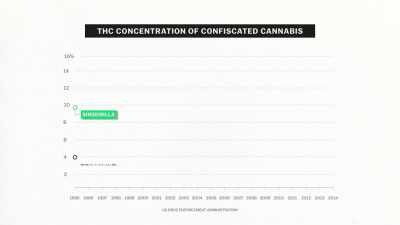 [narrator] The average THC content
of Sinsemilla - Explained