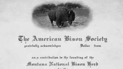 Narrator: The Bison Society
then launched - The American Buffalo