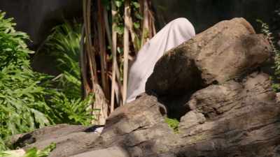NARRATOR: The boys love the blankets... - Magic of Disney's Animal Kingdom