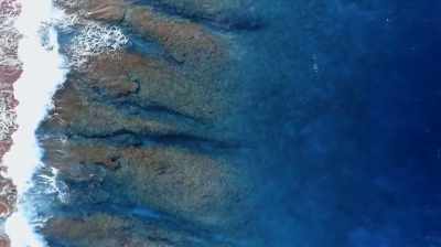 Narrator: The drones'
high-resolution cameras can
image from the reef to several - Expedition Amelia