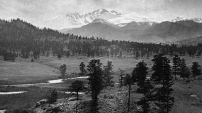 Narrator: The elk
and grizzly bears that survived - The American Buffalo