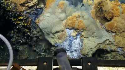 Narrator: THE ESCAPING METHANE
ISN'T KILLING THE SEA CREATURES, - Strange Evidence