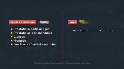 [narrator] The fluid released was said
to be chemically different from urine. - Explained