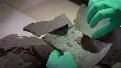 NARRATOR:
The forest soil is acidic. - Lost Treasures of Rome