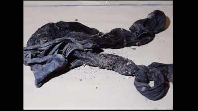Narrator:
THE KNOTS IN THE RUNNING TIGHTS - Chandra Levy: An American Murder Mystery