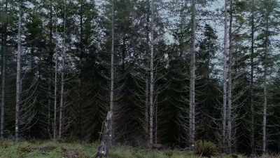 [narrator]
The monster is free. - Lost Women of Highway 20