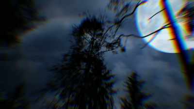 [narrator]
The next thing Betty remembers - Alien Abduction: Betty and Barney Hill