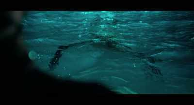 NARRATOR: The ocean... - Freediver
