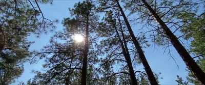 [narrator] The Radiation
Exposure Compensation Act - Downwind