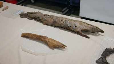 Narrator: THE SMALLER BONE IS
FROM CLAYTON'S TEAM'S DINOSAUR, - Dino Hunters