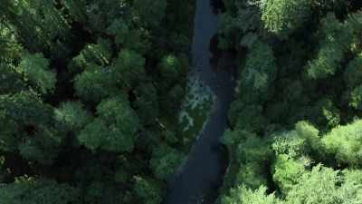 [narrator]
 The team returned to the are
 where they discovered... - Expedition Bigfoot