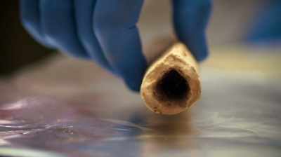Narrator: The test reveals
that this bone - Dead Sea Scrolls: The Doomsday Prophecy
