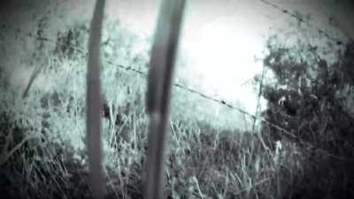Narrator: THE VAMPIRE BEAST
STAYS IN THE SHADOWS... - Strange Evidence