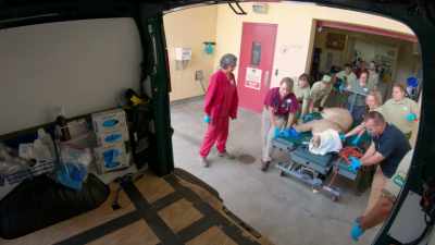 NARRATOR: The vet team is happy. - Magic of Disney's Animal Kingdom