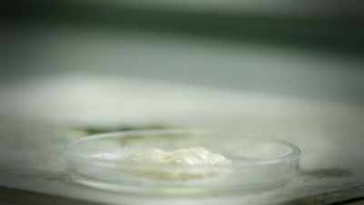 Narrator: THE VIOLENT CHEMICAL REACTION - Strange Evidence