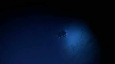 Narrator: Then, just before
sun-up, herc's lights spy
something that clearly doesn't - Expedition Amelia